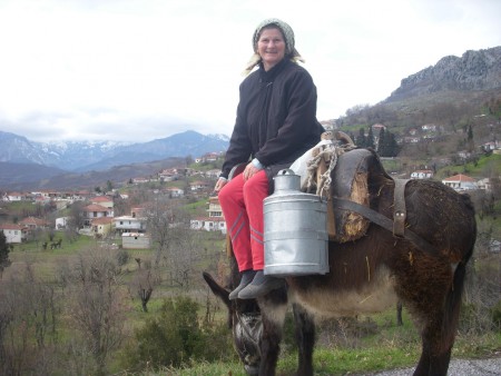Η ΚΙΚΗ ΜΕ ΤΟ ΓΑΪΔΑΡΟ